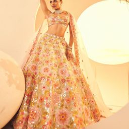 ANEESH AGARWAAL Embellished Mirror Work Ready to Wear Lehenga & Blouse With Dupatta-picture-17