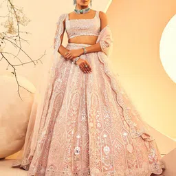 ANEESH AGARWAAL Embellished Beads and Stones Ready to Wear Lehenga & Blouse With Dupatta-16