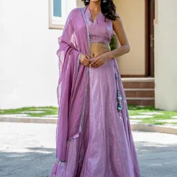 HOUSE OF JAMOTI Embellished Ready to Wear Lehenga & Blouse With Dupatta-picture-56