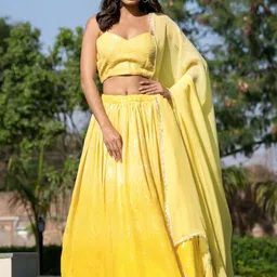 HOUSE OF JAMOTI Embellished Sequinned Ready to Wear Lehenga & Blouse With Dupatta-picture-42