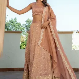 HOUSE OF JAMOTI Embellished Sequinned Ready to Wear Lehenga & Blouse With Dupatta-52