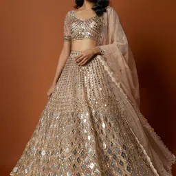 Mehak Murpana Embellished Mirror Work Ready to Wear Lehenga & Blouse With Dupatta-picture-16