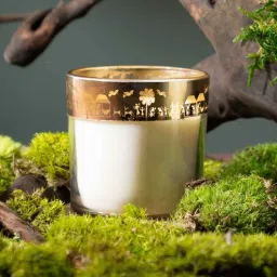 seva home Enchante Candle -Soy Wax Gifting candle (Set of 3)-picture-34