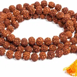 Rudraksha 5 Mukhi Jaap Mala For Pooja (Astrology) (108+1 Beads) Certified Wood Chain-image-93