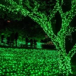 pesca 40 LEDs 11 m Green Steady String Rice Lights image 3