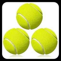 New-JS _353Pack of 6 Tennis Ball-image-60