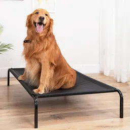 fluffy Dog Bed Pet Cat Raised Sides Camping Fabric Cot Indoor Outdoor Waterproof L Pet Bed-picture-32