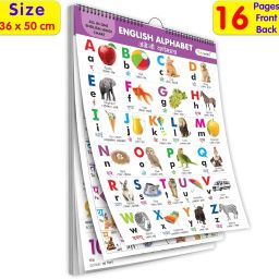 ENGLISH-HINDI Chart For Kids (16 Charts ) Children Spiral Wall Picture Chart-22