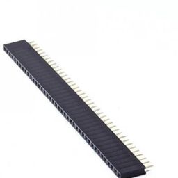 Header Pin Female 10mm-19