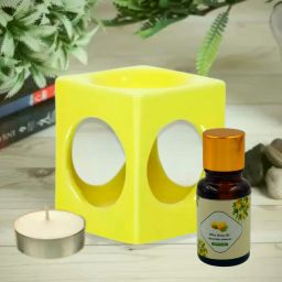 Small Square Ceramic Yellow Diffuser With 10ml Citrus Fragrance, One Pcs Candle Diffuser Set, Aroma Oil-image-77
