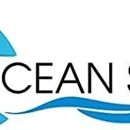 ocean star technologies 20 inch cto filter Solid Wire Connector image 3