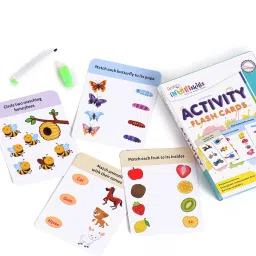 Jumbo Write and Wipe Activity Flash Cards --2