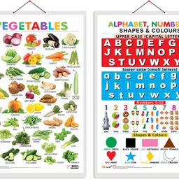 go woo Pack of 2 Vegetables and Alphabet, Numbers, Shapes & Colours Educational charts-picture-5