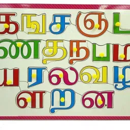 Wooden Colorful Tamil Consonants Alphabets Letter with Knobs Educational Board Jigsaw Puzzle- Perfect pegged Puzzles for Kid Learning Alphabet for Toddler Ages 2+-15