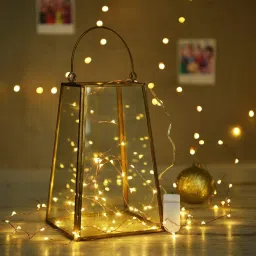 20 LEDs 2.01 m Gold Steady String Rice Lights-1