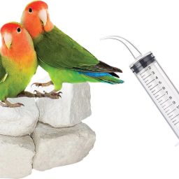 Natural Mineral Block for Birds 400g plus Hand Feeding Syringe Curve Tube 0.4 kg (4x0.1 kg) Dry Young Bird Food-image-93