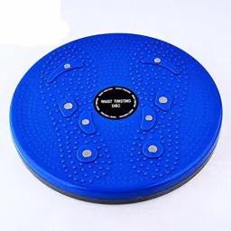 2 in 1 Twisting Waist Disc, Body Shaping Twisting Waist Machine Ab Exerciser-14