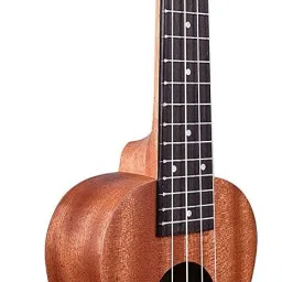 Wanderer Series ukulele Brown Mahogany wood Ukulele With Bag Soprano Ukulele-image-3