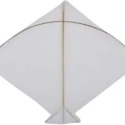 Rectangular Cheel Kite-20