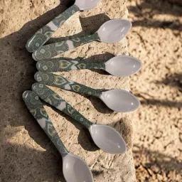 Melamine Floral Design Cutlery Spoon to Enhance Your Tableware Melamine Tea Spoon Set-image-84
