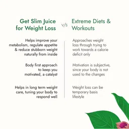 Kapiva Set Of 2 Get Slim Weight Management & Digestion Stimulation Juice - 1 L Each image 3