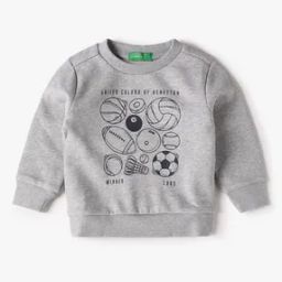 Boys Printed Regular Fit Crew-Neck Sweatshirt-picture-44