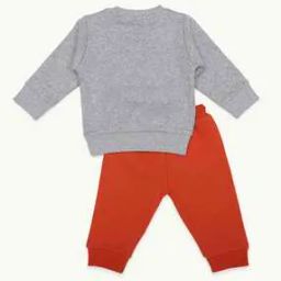 Baby Typographic Set-picture-29