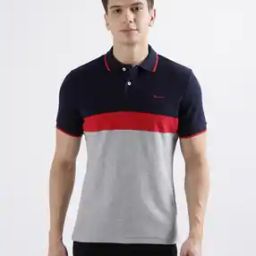 Men Regular Fit Colour-Block Polo T-Shirt-image-5
