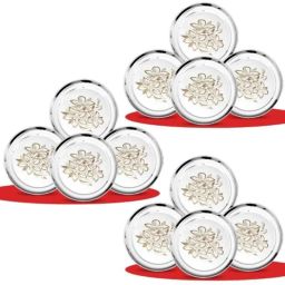 Classic Essentials CE-12 12 Pcs Stainless Steel Permanent Laser Glory Design Dinner Plate Set (Pack of 2)-9