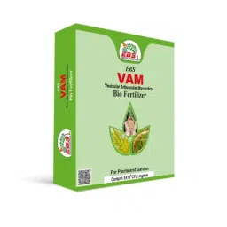 EBS VAM 1kg Bio Fertilizer for Improve Soil Fertility in Farm &a; Garden (Pack of 3)-image-75
