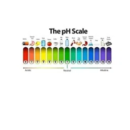Labsoul 0-14pH 1m Probe Electrode with BNC Connector for pH Meter Monitor Controller Test Sensor image 3