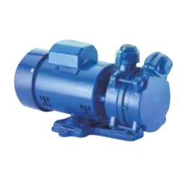 KSB Peristar ZD 1HP Single Phase Self Priming Peripheral Monoblock Pump-picture-13