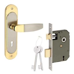 Sardar 8 Inch Silver &a; Gold Mortise Door Lock Set, BMH 322-image-13