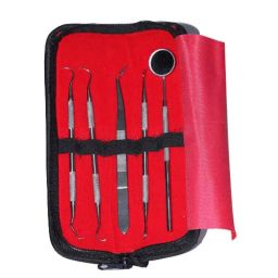 Forgesy 5 Pcs Stainless Steel Dental Hygiene Kit, X111-picture-41
