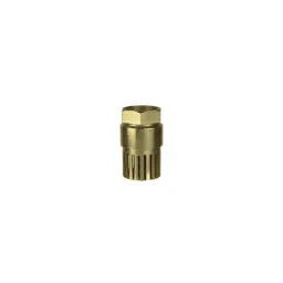 Sant 20mm Screwed Female Threads Gun Metal Foot Valves, IS 21-image-43