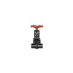 Sant 20mm Screwed Female Threads Gun Metal Globe Valves, IS 34-image-58