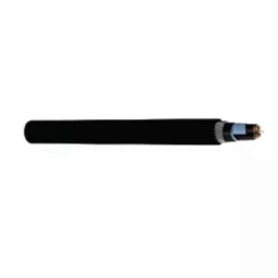 RR Kabel 2.5 Sqmm 14 Core Black Shielded Armoured Cable, Length: 100m-image-47