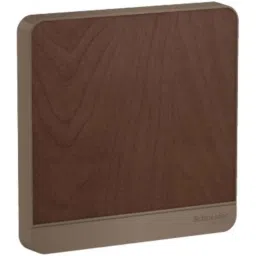 Schneider Electric AvatarOn 1M Polycarbonate Dark Wood Blank Plate, E8330X_WD-picture-32