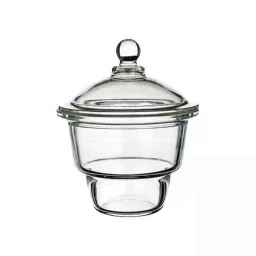 Lab Plus ASPURE PVC Clear Bag Super Skeleton Bag, LP-10988 (Pack of 2)-picture-14