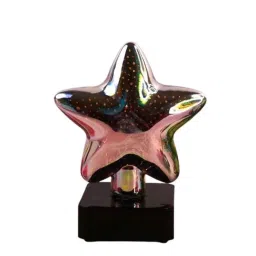 Rashmi Traders Plastic Multicolour Star Shape Decorative LED Light, 14406-0
