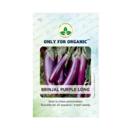 Only For Organic 10g Brinjal Long Vegetable Seeds, OFOPPBPL0050-image-94