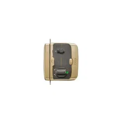 Godrej Pentabolt Aries 1CK Vegas Gold Rim Lock, 6362-23