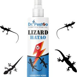 Lizard Hatao Repellent Spray for Home, Insect Repellants, lizard spray-image-34