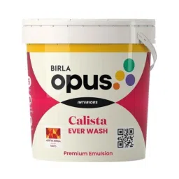 Birla Opus 20 Litre White Calista Ever Wash Premium Interior Emulsion Paint-picture-7