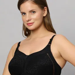 Bluenixie Plus size Self Design Full Coverage Bra With All Day Comfort image 2