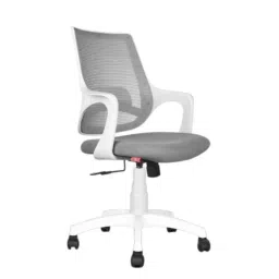 Rose Mono 90kg Pearl White Mid-Back Ergonomic Mesh Revolving Chair with 3 Years Warranty-47