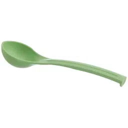 Signoraware Parrot Green Small Serving Ladle, 267-picture-43