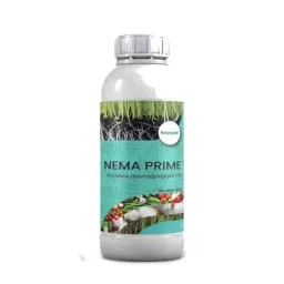 Katyayani Nema Prime 1 Litre Pochonia Chlamydposporia 1% W P Liquid, K-5556-picture-22