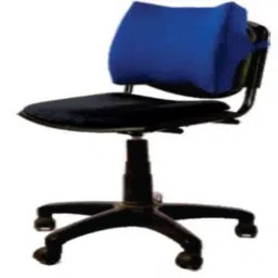 Vissco Universal  New Molded Orthopedic Back Rest, 117-picture-1
