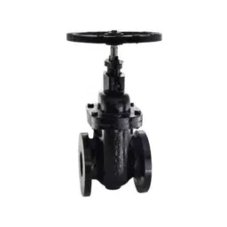 Zoloto 150mm Cast Iron PN 1.6 Flanged Sluice Valve, 1079B-picture-3